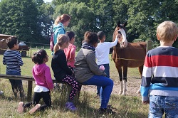 Kinder bestaunen ein Pferd auf der Koppel